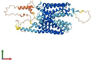 AlphaFold protein structure predicition of Mouse Recombinant Slc43a2 Protein, UniprotID Q8CGA3 (SLC43A2 Protein (AA 1-568) (His tag))