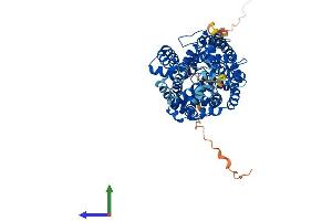 AlphaFold protein structure predicition of Human Recombinant SLC6A12 Protein, UniprotID P48065 (SLC6A12 Protein (AA 1-614) (His tag))