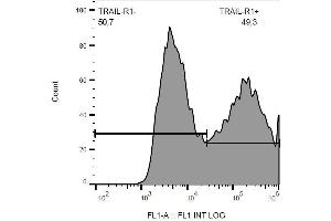 Surface staining of CD261-transfected HEK-293 cells with anti-CD261/TRAIL-R1 FITC. (TNFRSF10A antibody  (FITC))