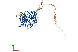 Protein Structure (PS) image for Secretion Regulating Guanine Nucleotide Exchange Factor (SERGEF) (AA 1-458) protein (His tag) (ABIN7546240)