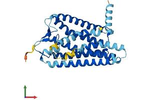 AlphaFold protein structure predicition of Human Recombinant OR5M9 Protein, UniprotID Q8NGP3 (OR5M9 Protein (AA 1-310) (His tag))