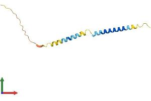 Protein Structure (PS) image for Transcription Elongation Factor A (SII)-Like 7 (TCEAL7) (AA 1-100) protein (His tag) (ABIN7544270)