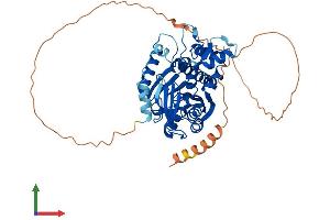 AlphaFold protein structure predicition of Human Recombinant RNMT Protein, UniprotID O43148 (RNMT Protein (AA 1-476) (His tag))