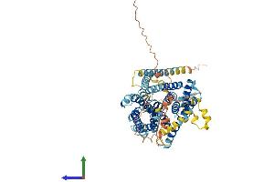 AlphaFold protein structure predicition of Mouse Recombinant Slc9a9 Protein, UniprotID Q8BZ00