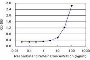 Sandwich ELISA detection sensitivity ranging from 1 ng/mL to 100 ng/mL. (PPP2R3B (Human) Matched Antibody Pair)