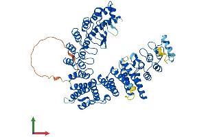 AlphaFold protein structure predicition of Mouse Recombinant Fem1aa Protein, UniprotID Q9Z2G1