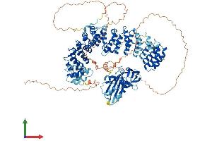 AlphaFold protein structure predicition of Human Recombinant AP3B1 Protein, UniprotID O00203 (AP3B1 Protein (AA 1-1094) (His tag))