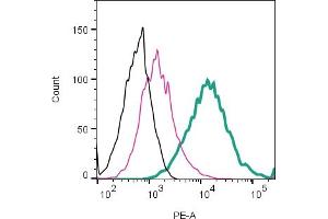 Cell surface detection of PTGER2 by direct flow cytometry in live intact mouse J774 macrophage cell line: + Rabbit IgG Isotype Control-PE (ABIN7582046).