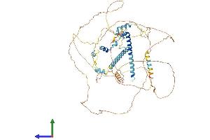 AlphaFold protein structure predicition of Human Recombinant SPTY2D1 Protein, UniprotID Q68D10 (Suppressor of Ty, Domain Containing 1 (SPTY2D1) (AA 1-685) protein (His tag))