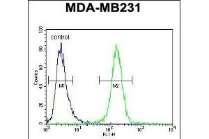 C4orf34 Antibody (C-term) (ABIN651629 and ABIN2840335) flow cytometric analysis of MDA-M cells (right histogram) compared to a negative control cell (left histogram).