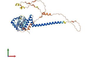 AlphaFold protein structure predicition of Mouse Recombinant Cnppd1 Protein, UniprotID Q8K158 (C2orf24 Protein (AA 1-407) (His tag))