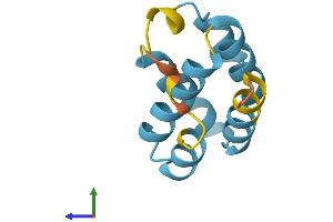 AlphaFold protein structure predicition of Human Recombinant PYDC2 Protein, UniprotID Q56P42 (Pyrin Domain Containing 2 (PYDC2) (AA 1-97) protein (His tag))