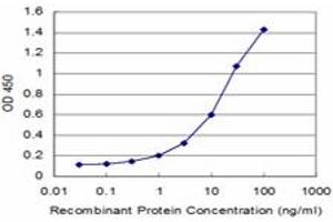 Detection limit for recombinant GST tagged USP9X is approximately 0. (USP9X antibody  (AA 1-90))