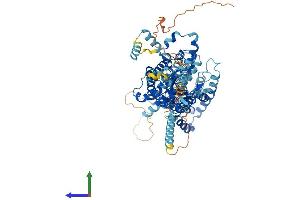 AlphaFold protein structure predicition of Mouse Recombinant Slc26a2 Protein, UniprotID Q62273