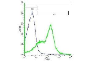 Mouse splenocytes probed with Rabbit Anti-CD19 Polyclonal Antibody, PE-Cy5 Conjugated . (CD19 antibody  (AA 151-250))