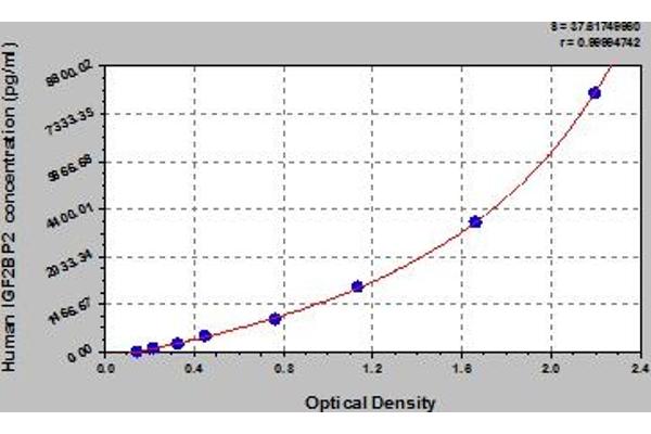 IGF2BP2 ELISA Kit
