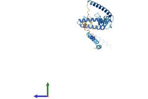 AlphaFold protein structure predicition of Human Recombinant ISY1 Protein, UniprotID Q9ULR0 (ISY1 Protein (AA 1-285) (His tag))