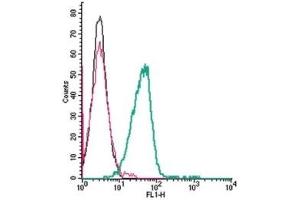Cell surface detection of ATP1B2 by indirect flow cytometry in live intact mouse BV-2 microglia cells: (black line) Cells. (ATP1B2 antibody  (Extracellular))