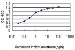 Detection limit for recombinant GST tagged RNF127 is approximately 0. (LONRF3 antibody  (AA 1-90))