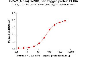 ELISA image for SARS-CoV-2 Spike (B.1.1.7 - alpha), (RBD) protein (Fc Tag) (ABIN7490638)