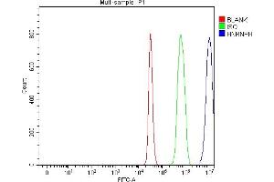 anti-Heterogeneous Nuclear Ribonucleoprotein H1 (H) (HNRNPH1) (AA 23-52), (N-Term) antibody