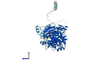 Protein Structure (PS) image for Williams-Beuren Syndrome Chromosome Region 17 (WBSCR17) (AA 1-598) protein (His tag) (ABIN7548030)