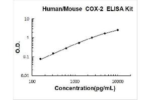 Typical Standard Curve