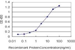 Detection limit for recombinant GST tagged ZNF259 is approximately 0. (ZNF259 antibody  (AA 361-459))