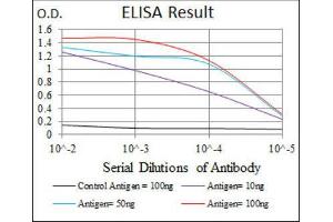 ELISA image for anti-Low Density Lipoprotein Receptor-Related Protein 5 (LRP5) antibody (ABIN1846200) (LRP5 antibody)