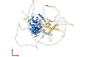 AlphaFold protein structure predicition of Mouse Recombinant Dcaf6 Protein, UniprotID Q9DC22