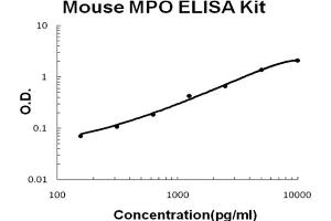 Mouse MPO Accusignal ELISA Kit Mouse MPO AccuSignal ELISA Kit standard curve. (Myeloperoxidase ELISA Kit)