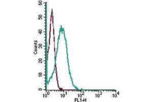 Cell surface detection of SLC28A3/CNT3 in live intact human HL-60 promyelocytic leukemia cells: (black line) Cells. (SLC28A3 antibody  (Extracellular))