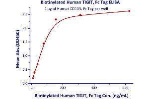 Immobilized Human CD155, Fc Tag  with a linear range of 9.
