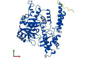 AlphaFold protein structure predicition of Human Recombinant CSAD Protein, UniprotID Q9Y600