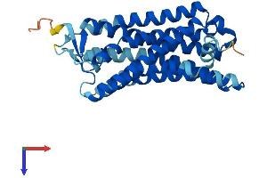 AlphaFold protein structure predicition of Human Recombinant OR2J1 Protein, UniprotID Q9GZK6 (OR2J1 Protein (AA 1-312) (His tag))