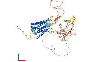 AlphaFold protein structure predicition of Human Recombinant GPR149 Protein, UniprotID Q86SP6