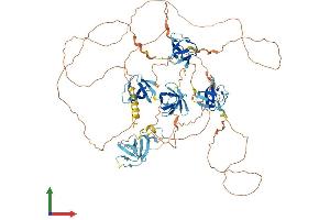 AlphaFold protein structure predicition of Mouse Recombinant Sh3d19 Protein, UniprotID Q91X43