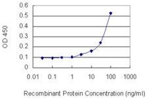 Detection limit for recombinant GST tagged MAT1A is 1 ng/ml as a capture antibody. (MAT1A antibody  (AA 1-395))