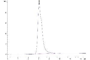 Size-exclusion chromatography-High Pressure Liquid Chromatography (SEC-HPLC) image for CD274 (PD-L1) (AA 19-238) protein (Fc Tag) (ABIN7275430)