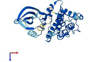 CDK1 Protein (AA 1-297) (His tag)
