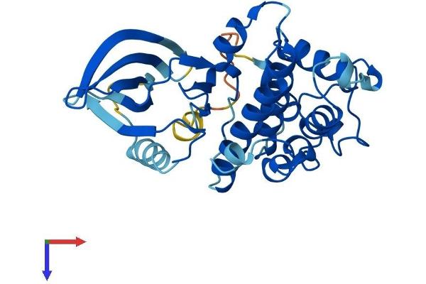 CDK1 Protein (AA 1-297) (His tag)