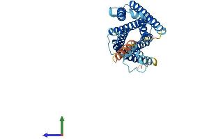 AlphaFold protein structure predicition of Mouse Recombinant Mrgpre Protein, UniprotID Q91ZB7 (MRGPRE Protein (AA 1-310) (His tag))