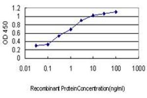 Detection limit for recombinant GST tagged GPR24 is approximately 0. (MCHR1 antibody  (AA 14-113))