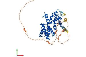 AlphaFold protein structure predicition of Mouse Recombinant Ccnjl Protein, UniprotID Q5SRT8