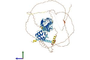 AlphaFold protein structure predicition of Mouse Recombinant Lrch1 Protein, UniprotID P62046