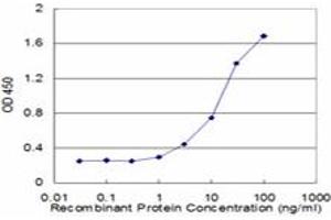 Detection limit for recombinant GST tagged CAMLG is approximately 1ng/ml as a capture antibody. (CAMLG antibody  (AA 1-100))