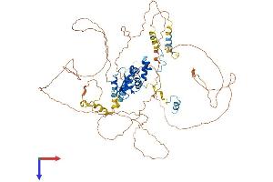 FBXO43 Protein (AA 1-708) (His tag)