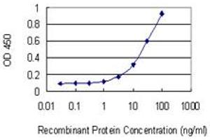 Detection limit for recombinant GST tagged ZNF444 is 1 ng/ml as a capture antibody. (ZNF444 antibody  (AA 38-133))