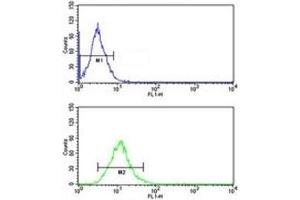 CD166 antibody flow cytometric analysis of NCI-H292 cells (green) compared to a negative control (blue). (CD166 antibody  (AA 58-87))