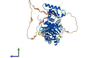 AlphaFold protein structure predicition of Human Recombinant MON1B Protein, UniprotID Q7L1V2